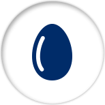 Blue icon of an egg