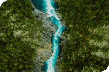 Overhead view of forest and river