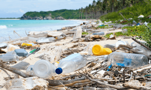 A littered beach.